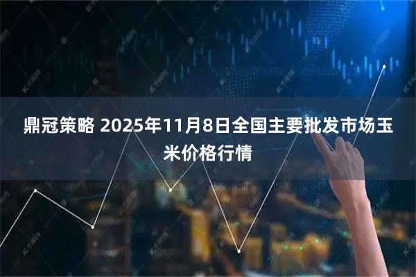 鼎冠策略 2025年11月8日全国主要批发市场玉米价格行情