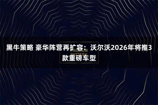 黑牛策略 豪华阵营再扩容：沃尔沃2026年将推3款重磅车型